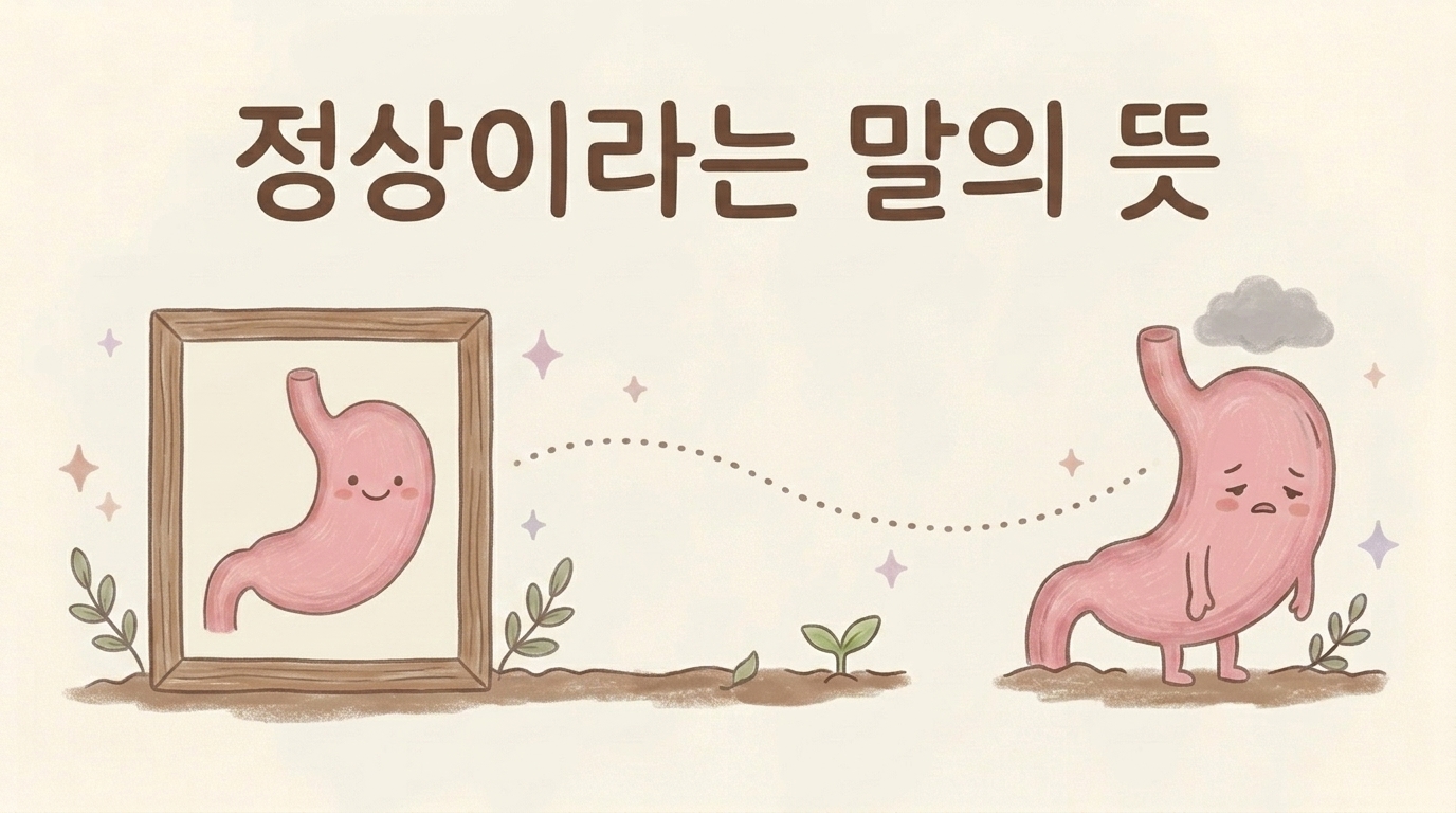 내시경은 정상인데 속은 계속 불편한 상황을 설명하는 일러스트