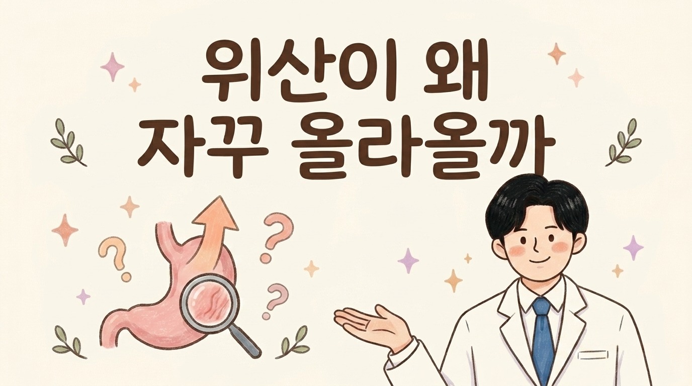 위산이 자꾸 올라오는 이유를 설명하는 한의사 캐릭터와 위 일러스트
