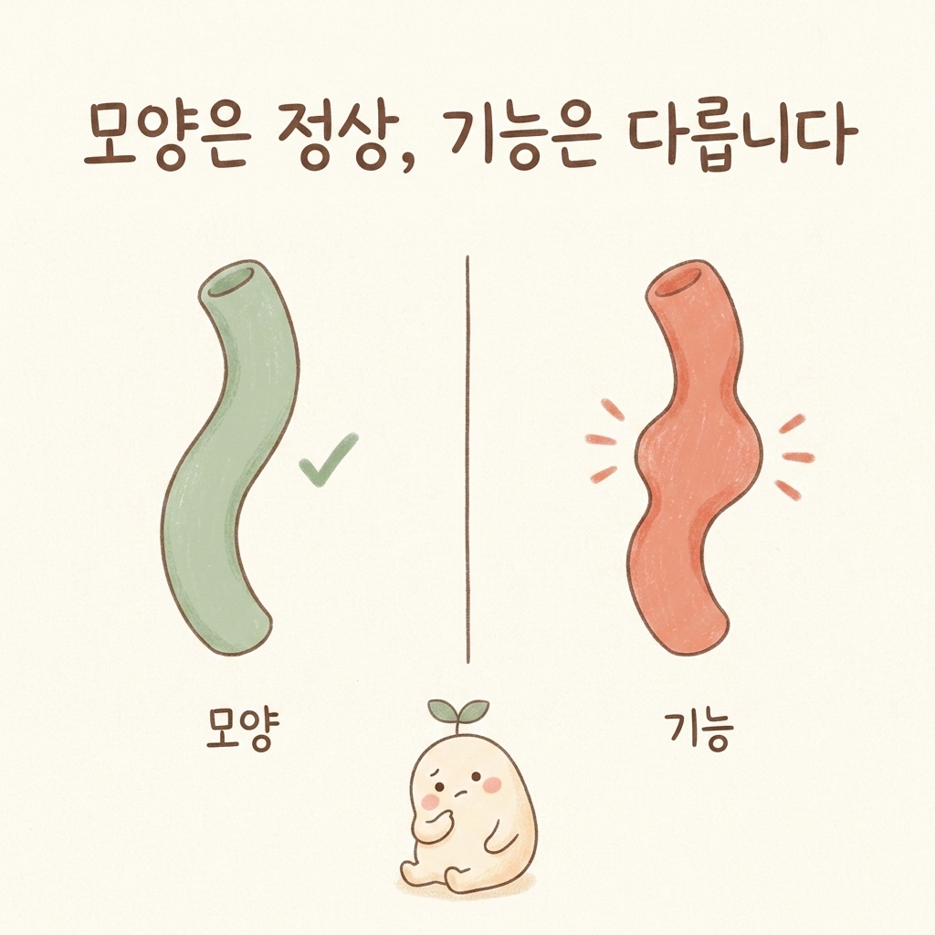 대장내시경은 정상인데 배는 계속 불편한 상황을 설명하는 일러스트