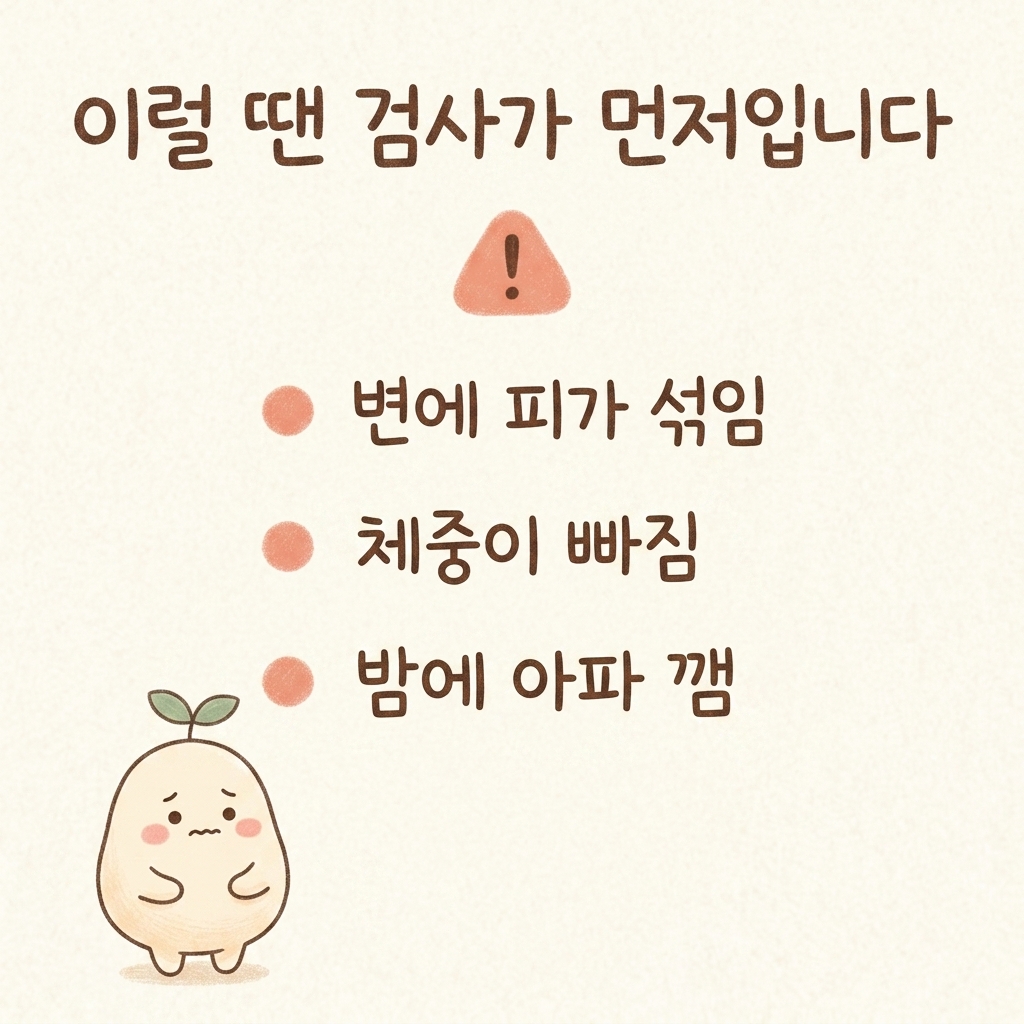 혈변이나 체중 감소 등 검사가 먼저 필요한 경고 신호를 설명하는 일러스트