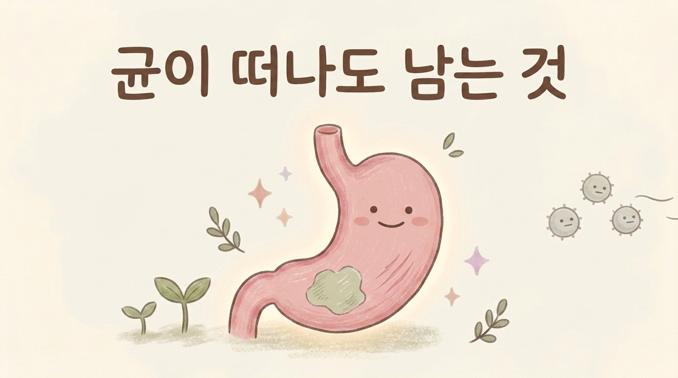 헬리코박터 제균 후 남은 위 점막 회복 관리의 필요성을 설명한 일러스트