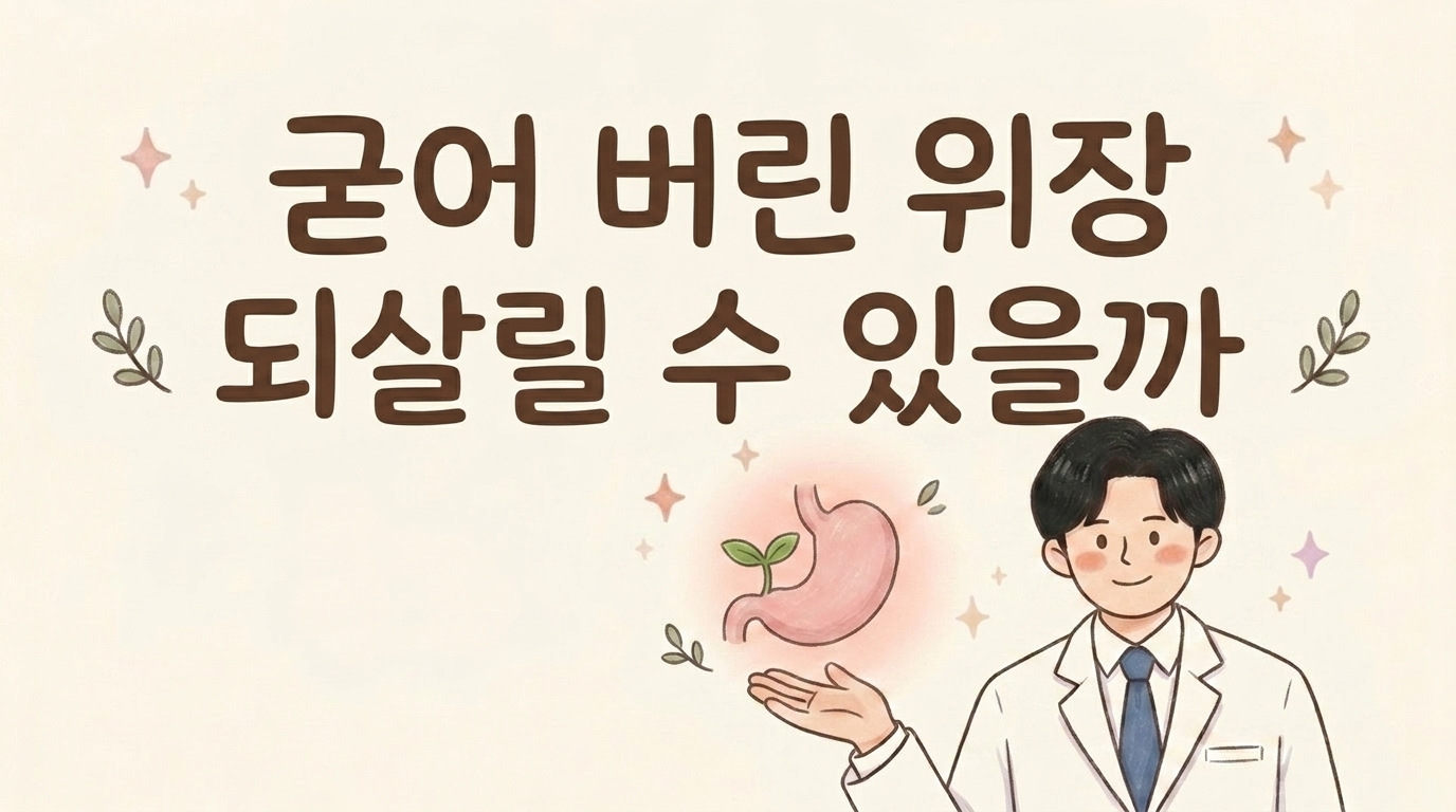 굳어 버린 위장을 되살리는 한방 관리를 설명하는 한의사 일러스트